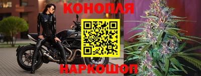 PSILOCYBIN Будённовск