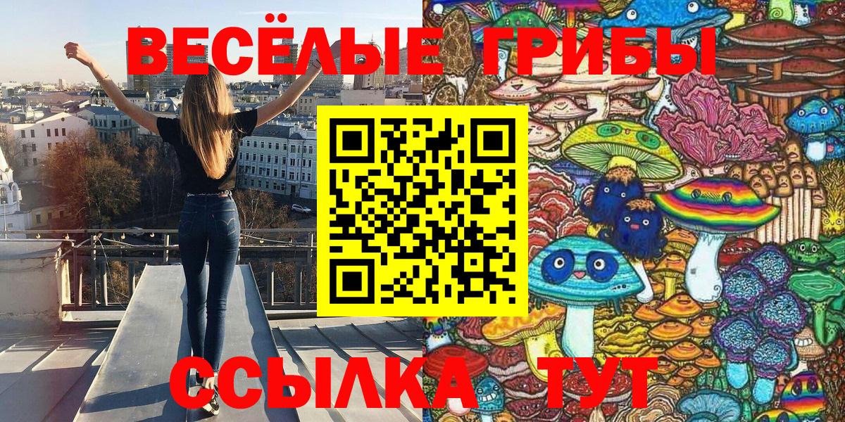 Псилоцибиновые грибы прущие грибы  Вход с VPN  Черняховск 